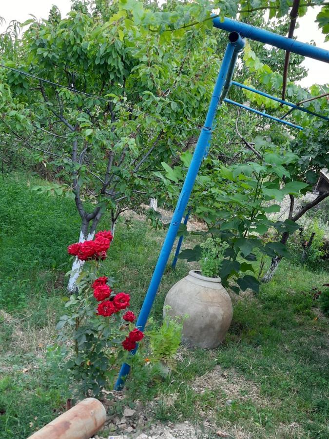 Ararat B&B Chʼiva Dış mekan fotoğraf