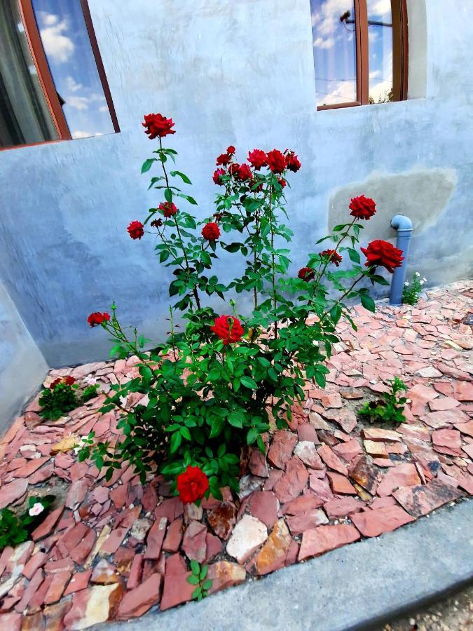 Ararat B&B Chʼiva Dış mekan fotoğraf